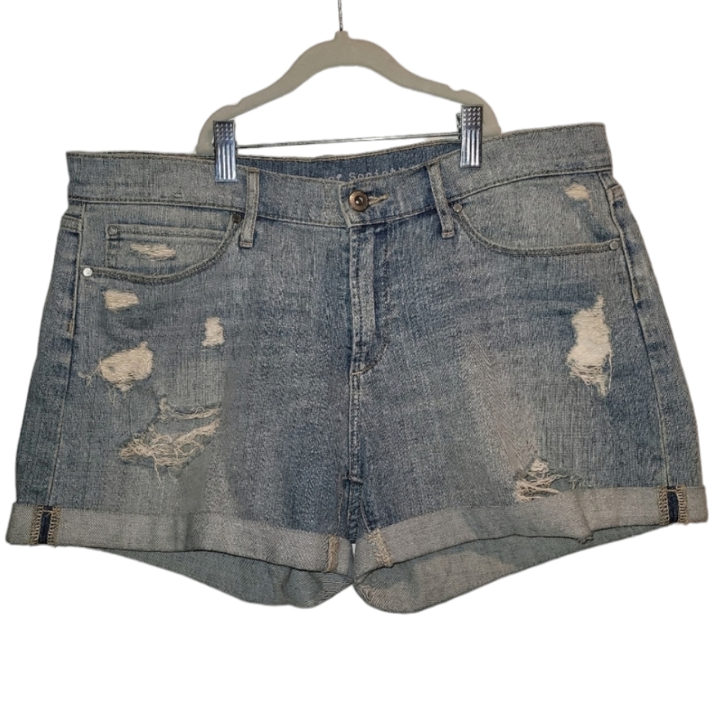 Denim Jean Shorts Women's Size 28 Woodstock Boyfriend Articles of Society Light